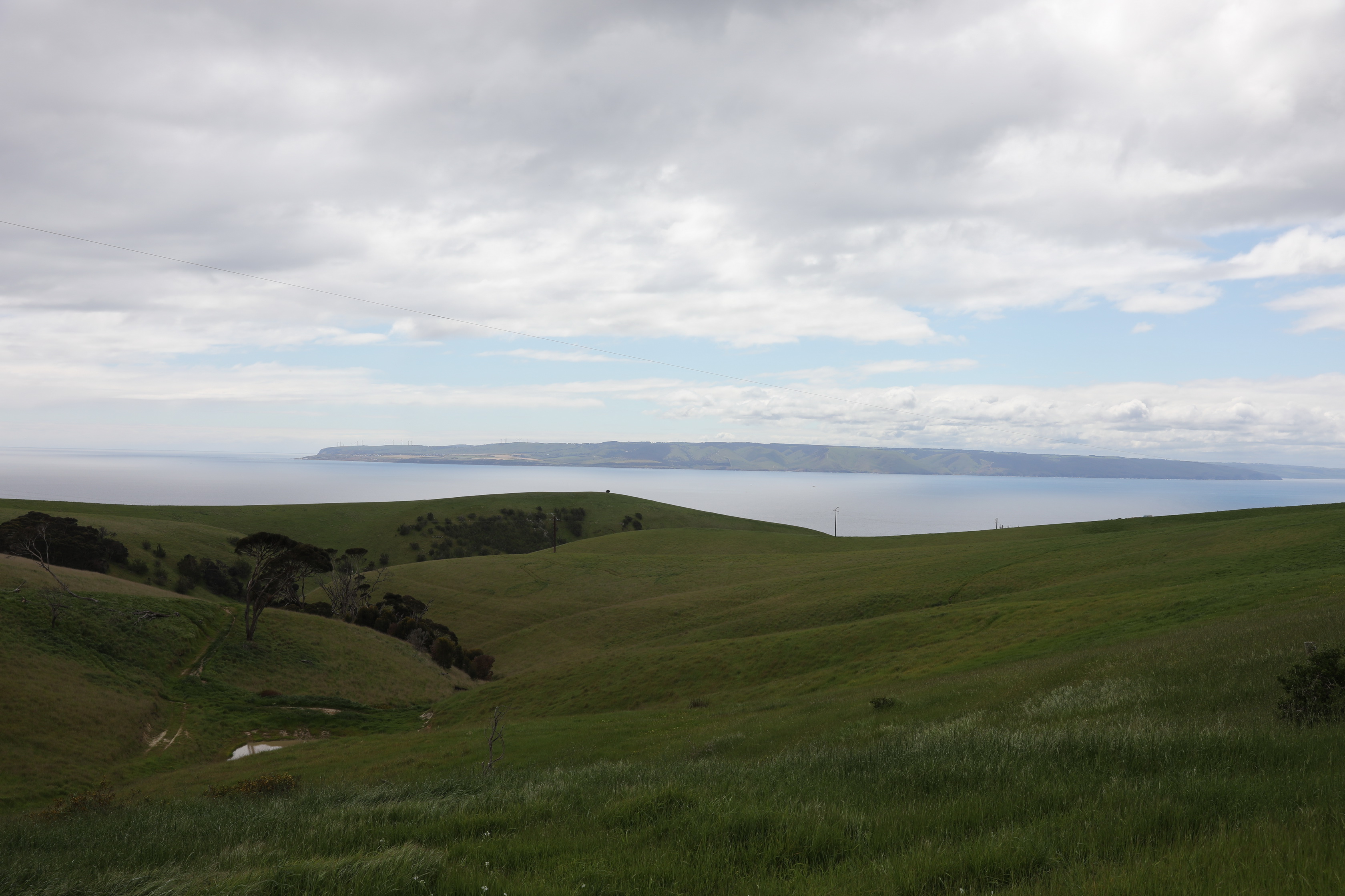 2019 10 07 10 45 30 Canon EOS 5D Mark IV 0006